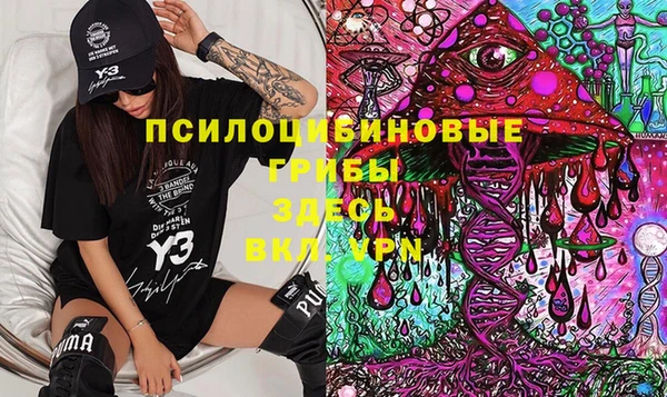 меф Алексин