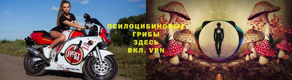 меф Алексин